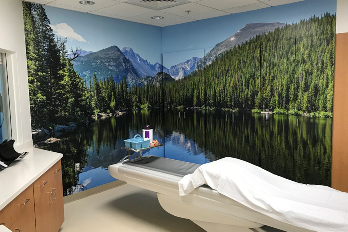 A medical room wallpapered with a scene of a mountain lake